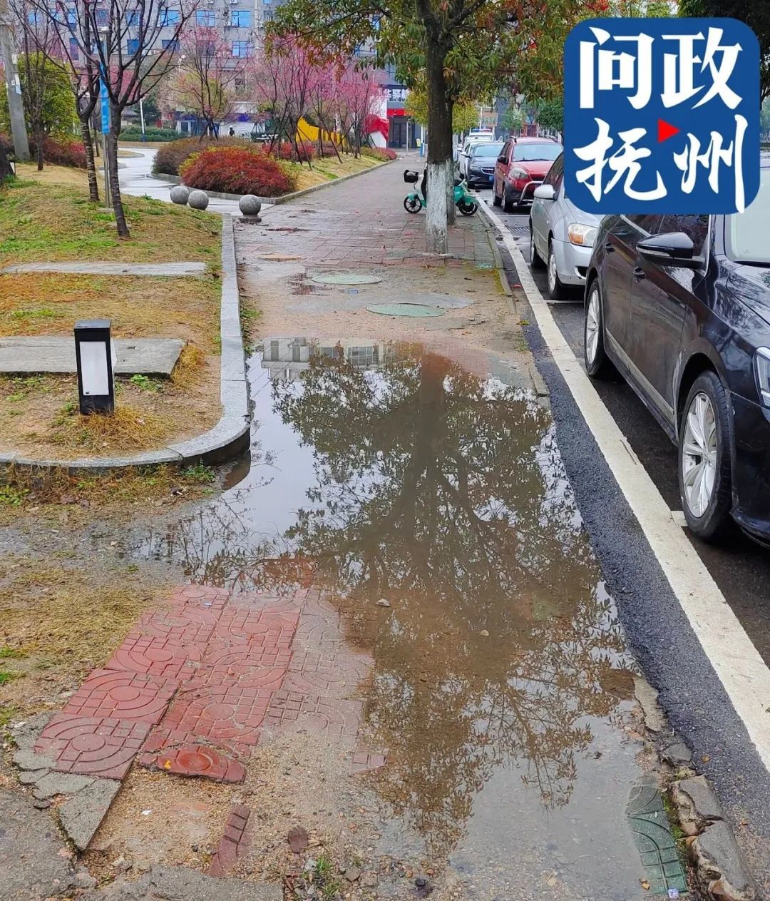 ▲图片由网友提供