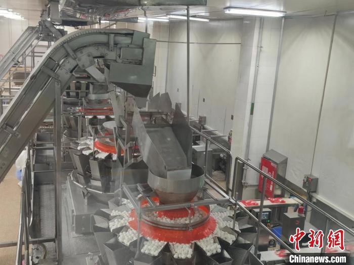 图为三全食物速冻汤圆自动化坐褥车间。杨大勇 摄