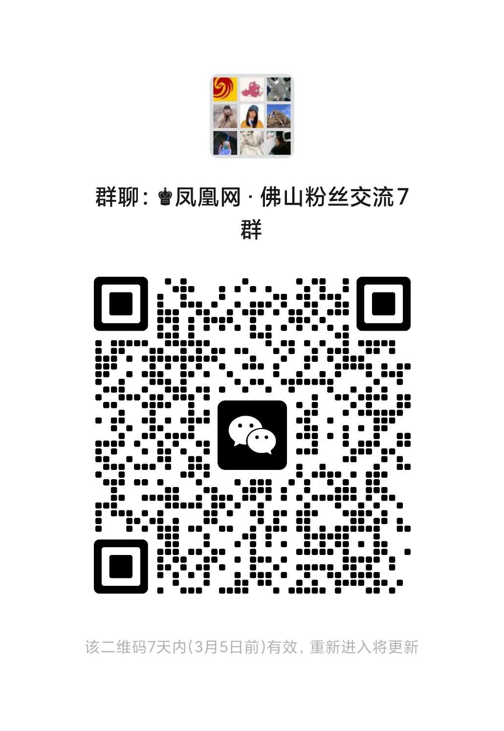 湾区凤声 | 中华白海豚作客、鹭鸟栖息……解码顺德水生态的“国家级吸引力”