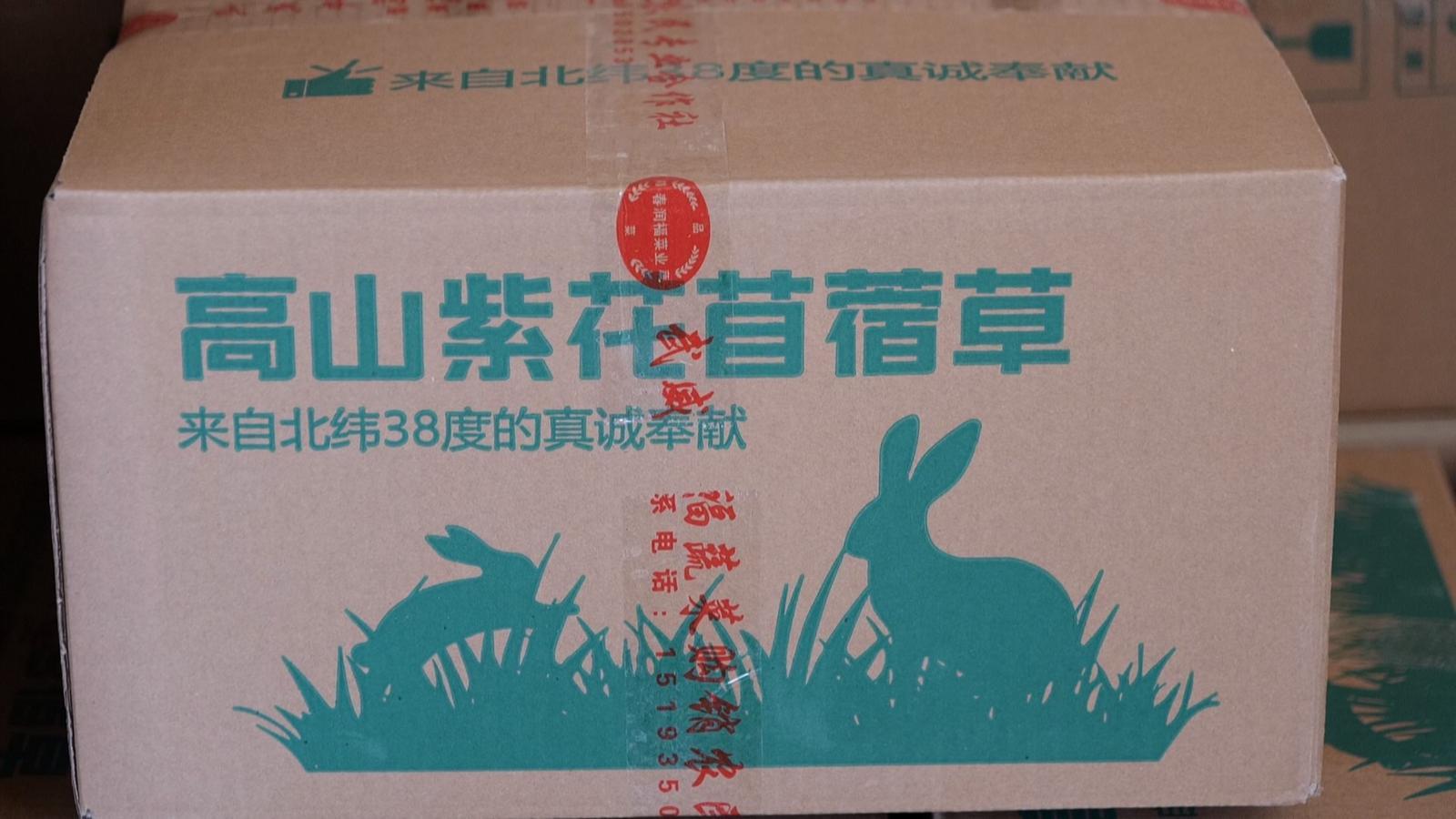 土苜蓿变身萌宠奢侈品　永昌汉子为啥能让它增值10倍