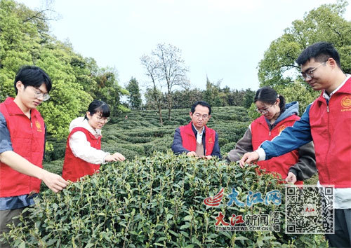 华中农业大学茶学系研究生入驻宜丰茶叶科技小院(受访者供图)