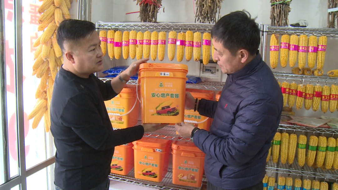 （种子化肥购销）