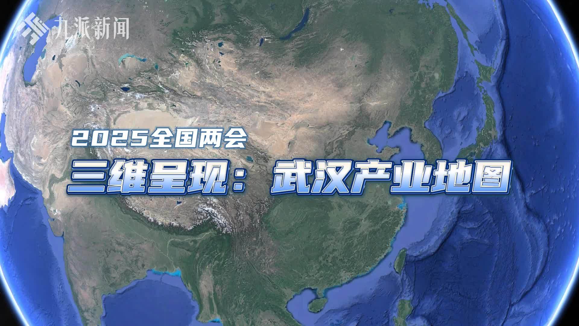当好龙头！三维呈现武汉产业地图