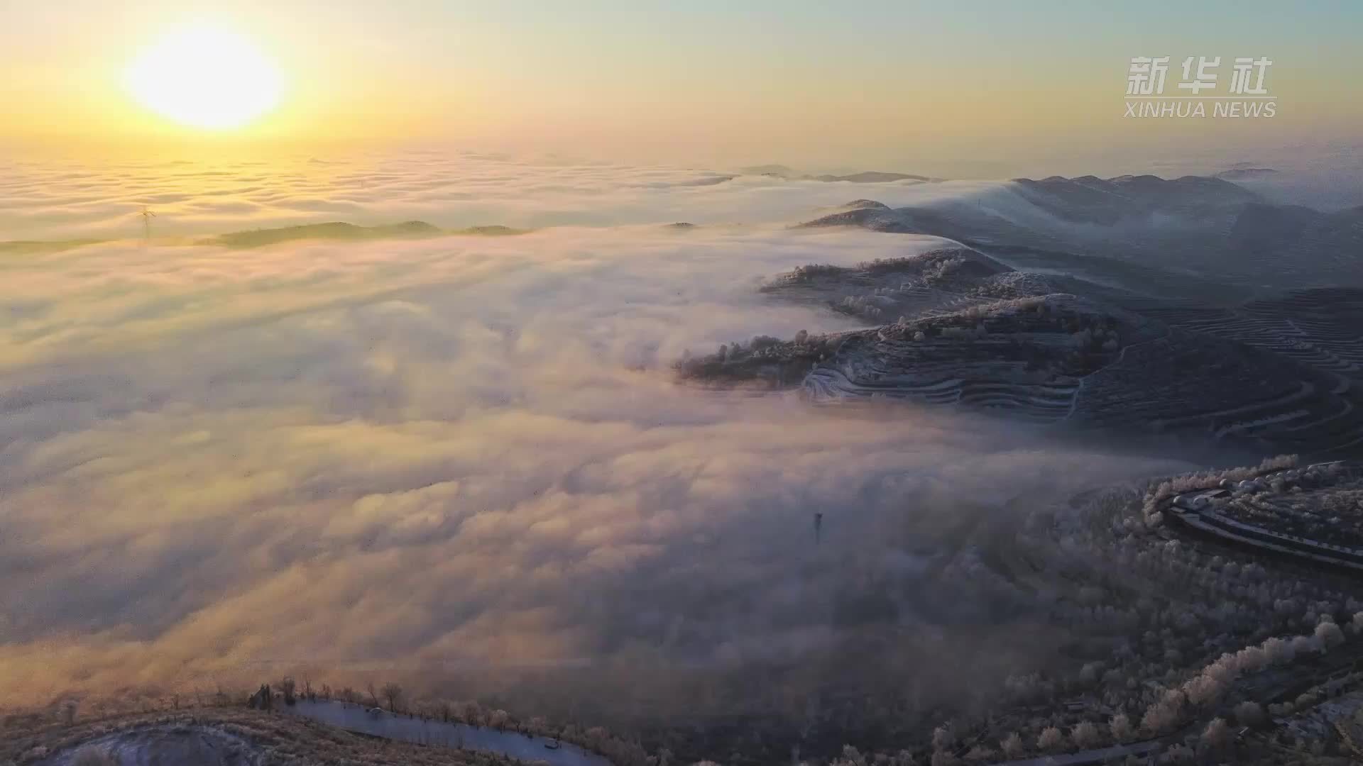 千城胜景｜宁夏西吉：玉树琼枝映日出