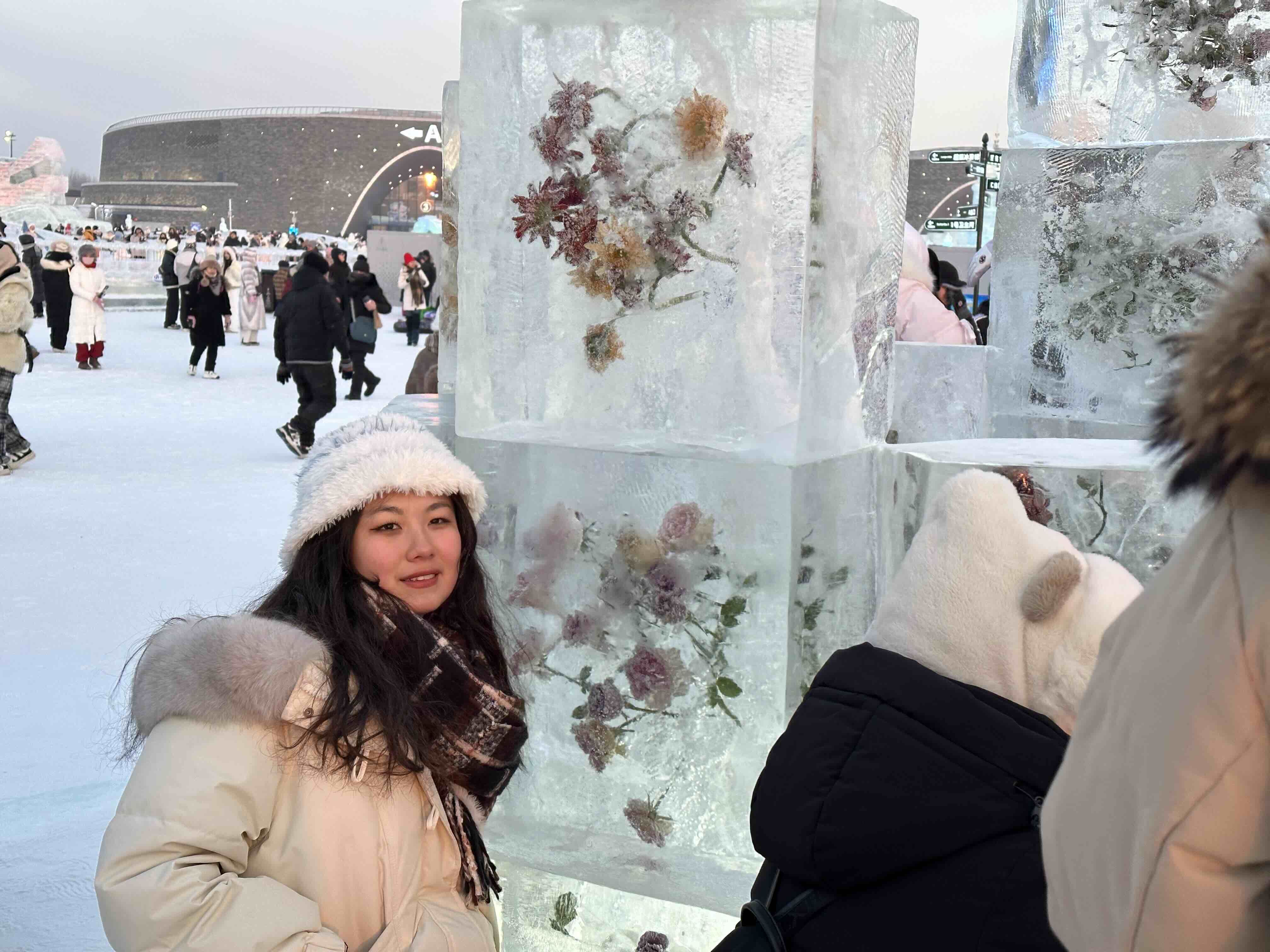 与冰封玫瑰同框