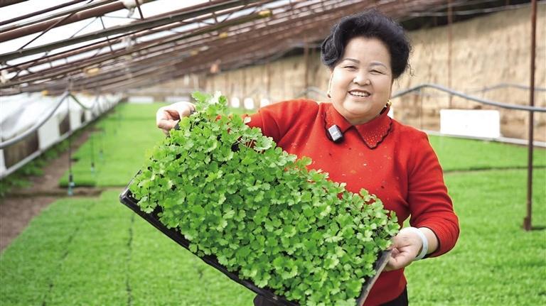豆俊兰