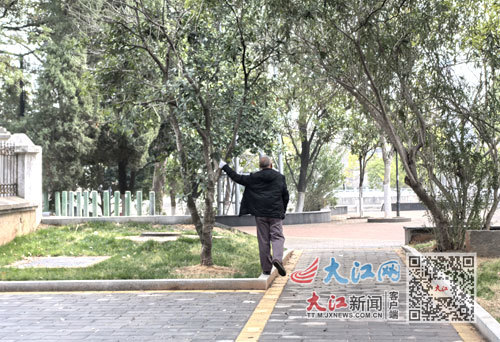 南昌已建成85个“口袋公园” 成居民休闲健身好去处