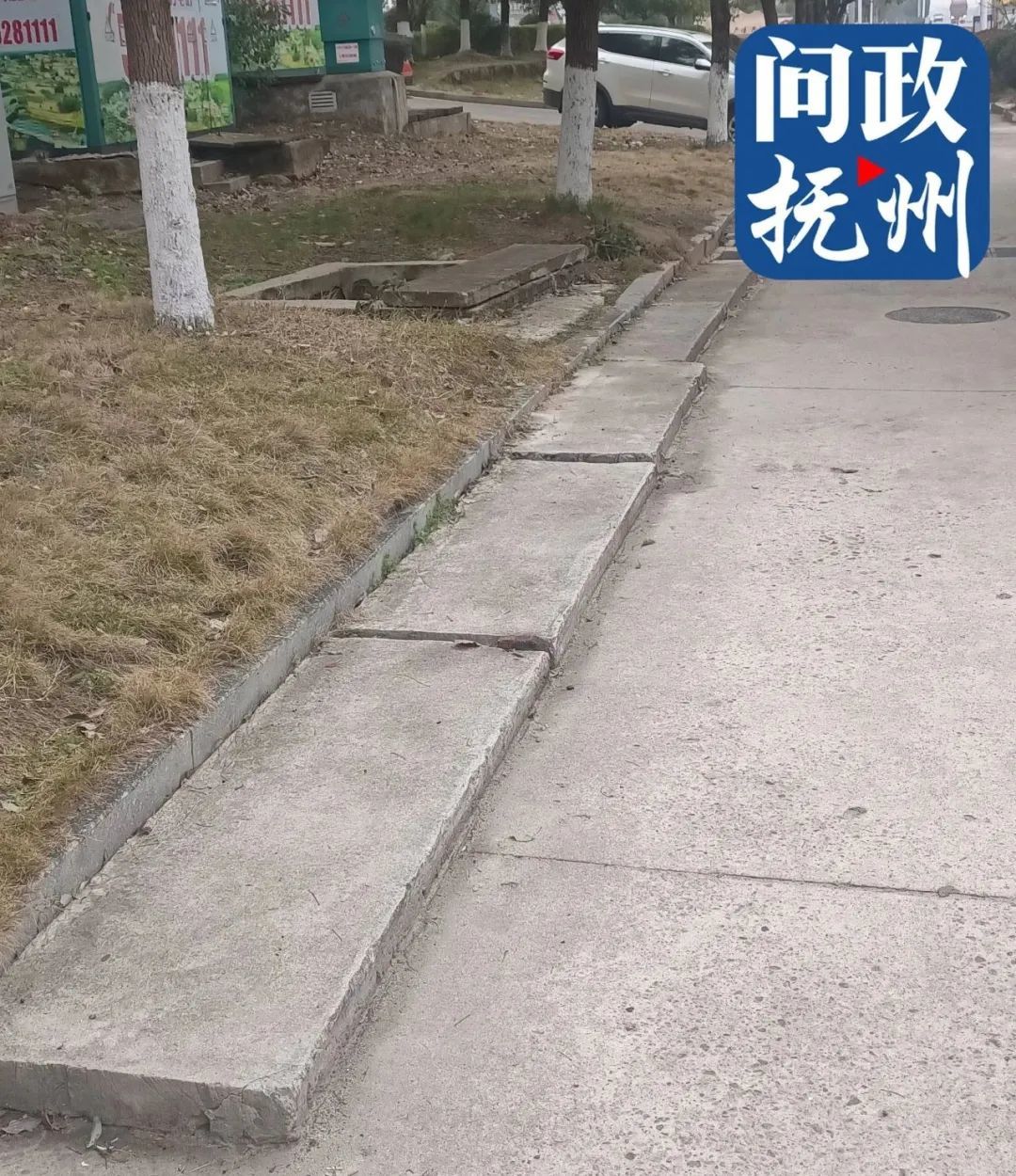 ▲图片由网友提供