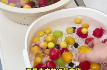 荣事达钛食材净化机 食材安全新保障
