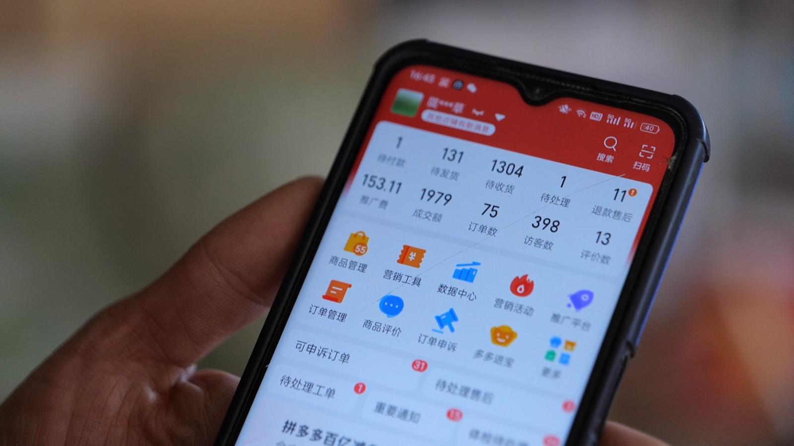 土苜蓿变身萌宠奢侈品　永昌汉子为啥能让它增值10倍
