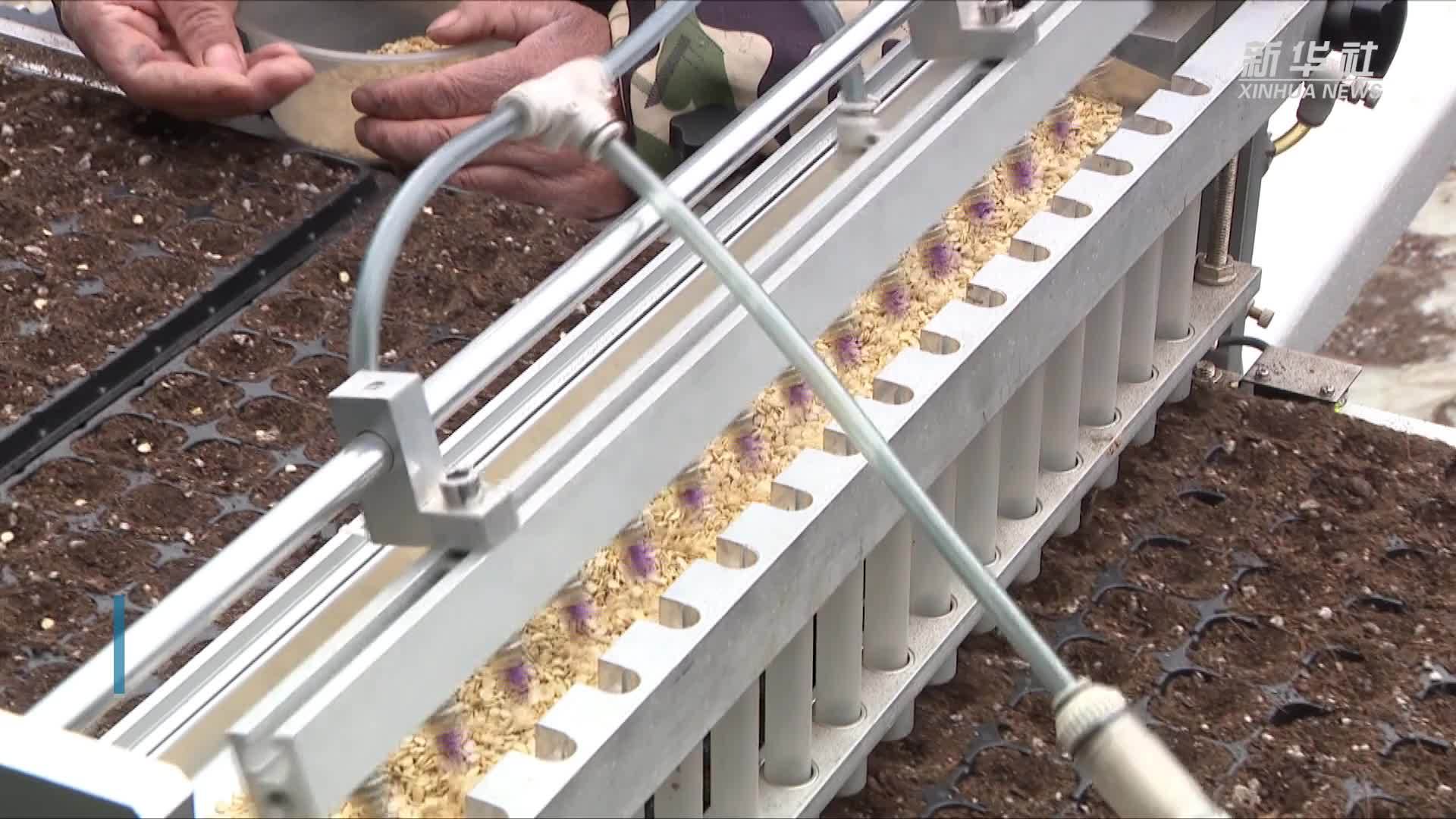 宁夏隆德：农资打假护春耕