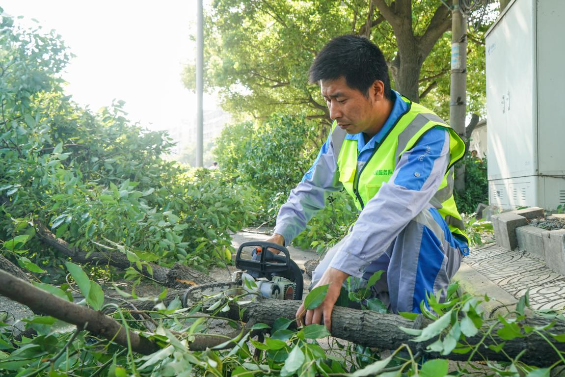 宁波“国企工匠”| 杨小兵：1万株城市行道树的“保育员”