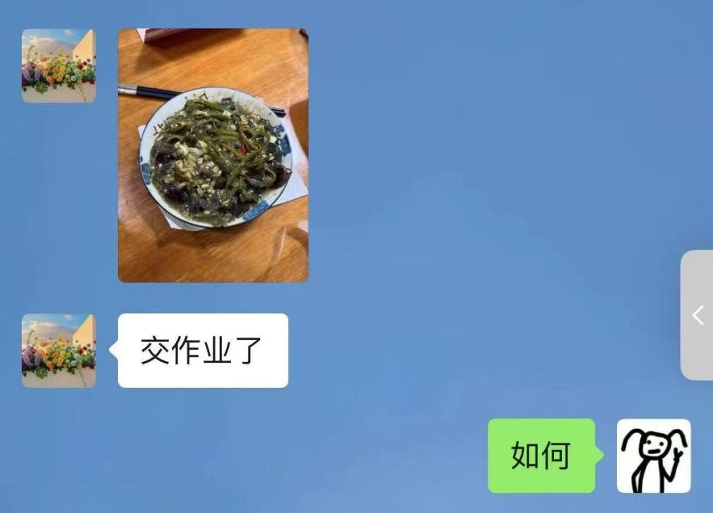 三亚团吉阳区委与社工志愿者演奏暖农助收“椒”响曲