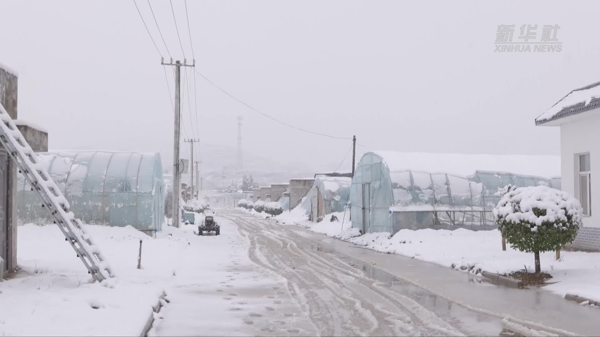 山西平陆：应对倒春寒 农技服务到田间