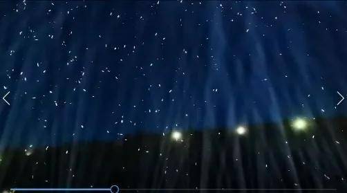 昆虫在光柱间飞舞闪烁与星空呼应