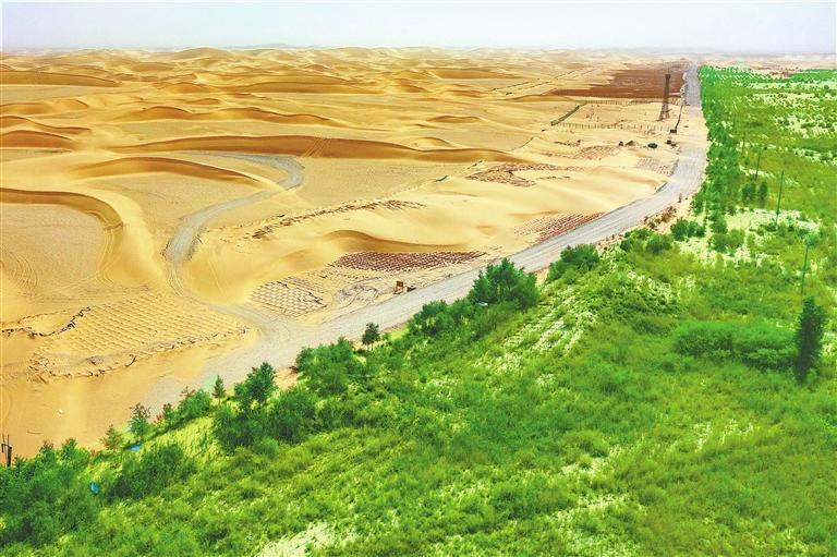新疆且末县河东治沙基地成形的防沙林带 新甘肃·甘肃日报通讯员 苏鑫
