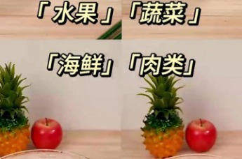 荣事达钛食材净化机 五重净化新标准