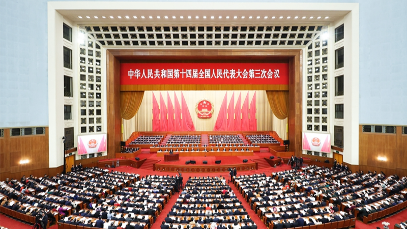现场回顾｜十四届全国人大三次会议第二次全体会议