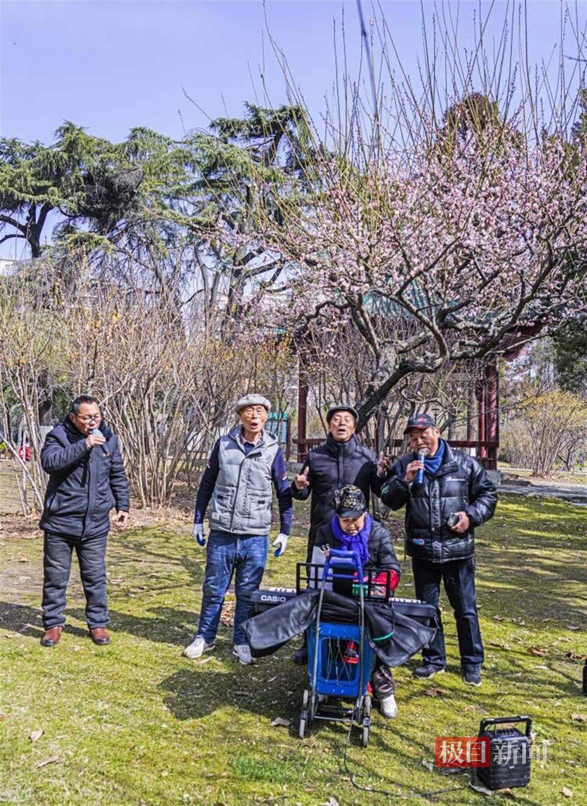 梅香伴琴韵