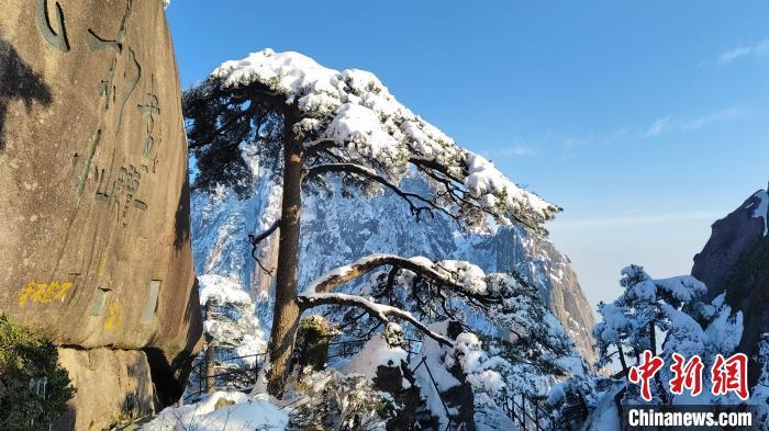 迎客松雪色银装。胡晓春 摄