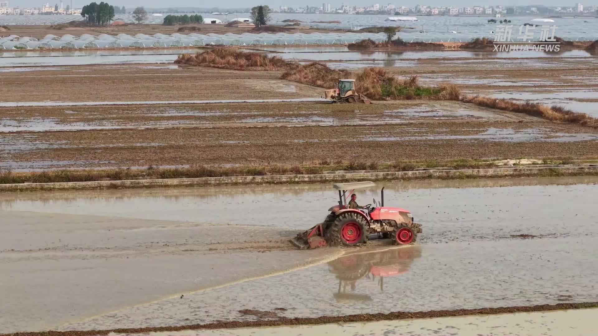 广东湛江：春耕农活忙