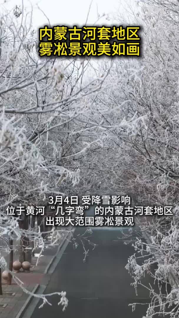 内蒙古河套地区：雾凇景观美如画