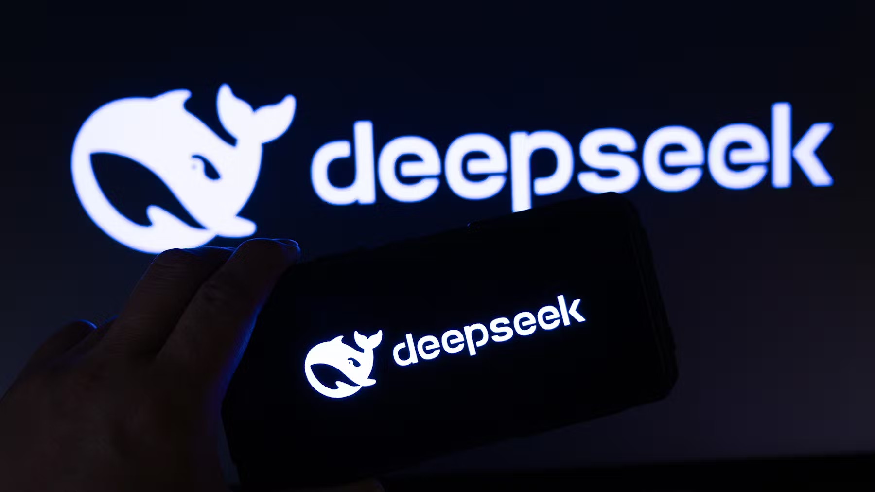 DeepSeek
