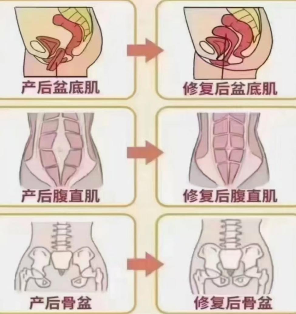 杨勉图片2