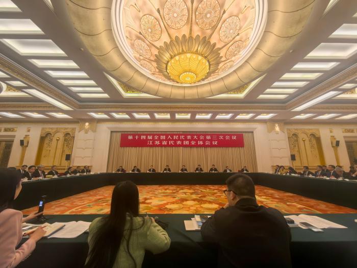 3月7日，十四届全国人大三次会议江苏代表团举行开放团组会议。中新网记者 李金磊 摄