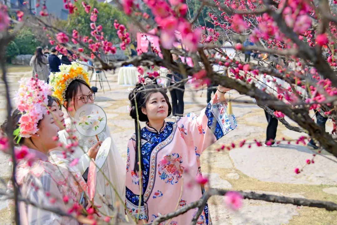 徐州鼓楼：一树梅花激活“梅好经济”新图景