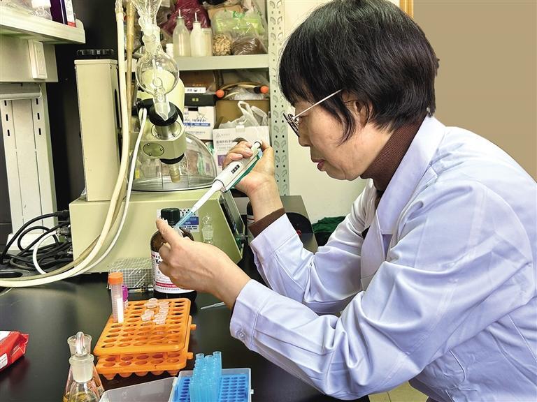 李彩东在实验室做实验