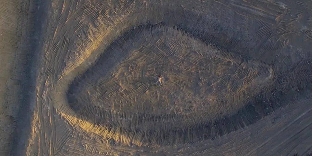 躺在《大地凝视》之二的眼里 老虎影像拍摄