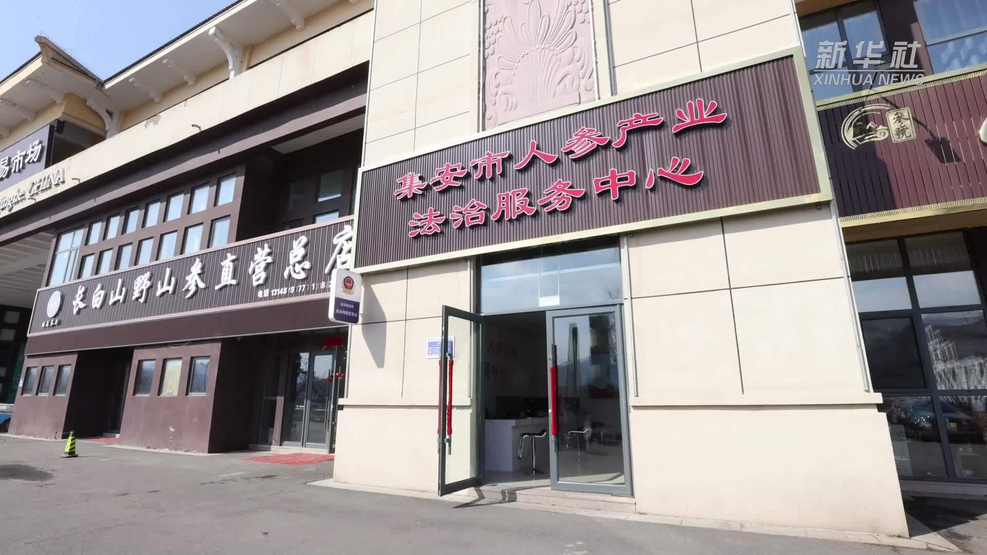 吉林集安：创新法律服务 护航人参产业发展