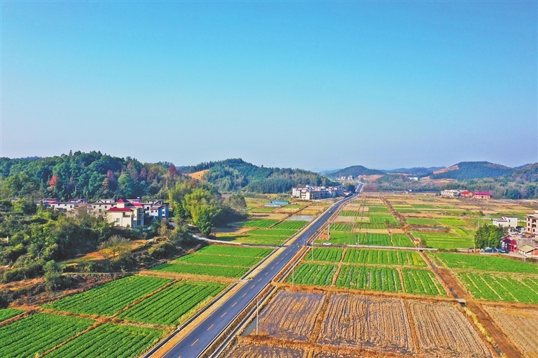 穿村而过的洪湖公路。江西日报全媒体记者 付 强摄