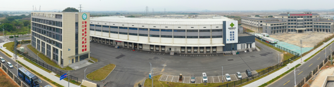 近年来，江门积极打造国家骨干冷链物流基地，加快推进冷链物流发展 图为江门市农产品冷链物流优势产区产业园