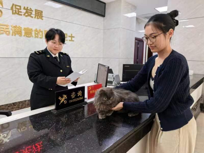 椰城海关关员现场审核宠物主人护照、宠物狂犬疫苗接种证明等材料