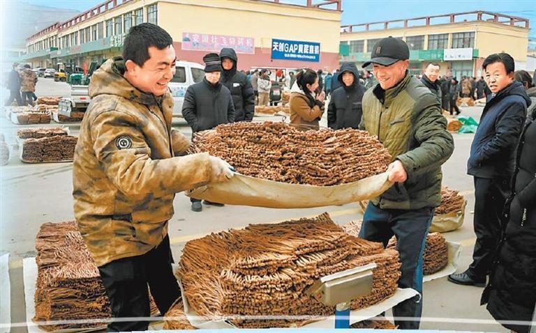 甘肃省定西市陇西县首阳中药材交易市场内人来人往　新甘肃·甘肃日报通讯员　崔翔龙