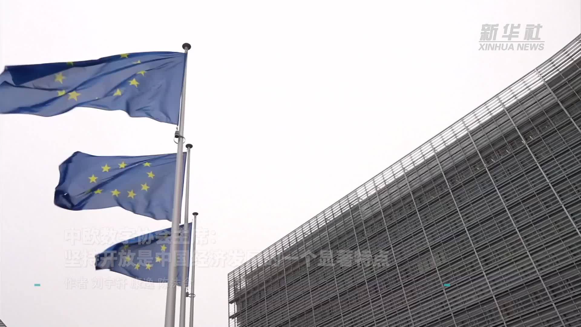 中欧数字协会主席：坚持开放是中国经济发展的一个显著特点