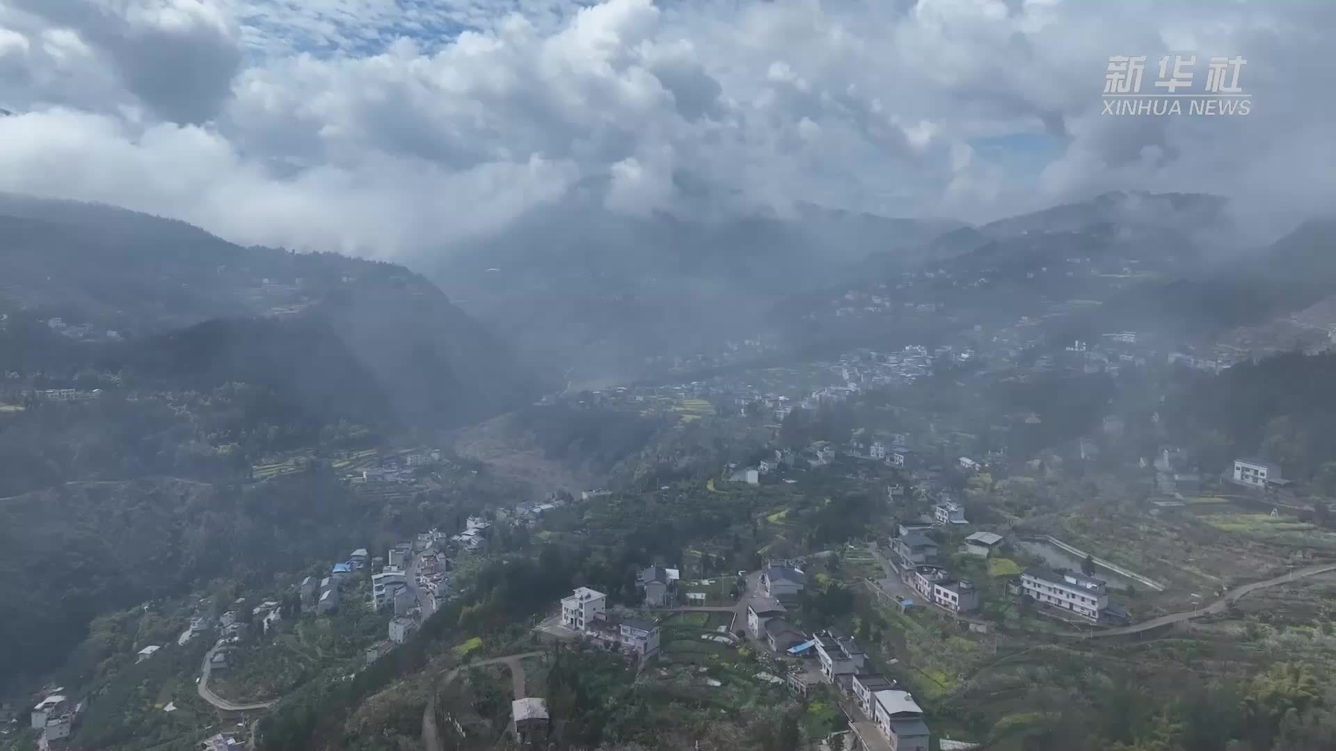 重庆：搭建智慧平台 守护“绿色记忆”