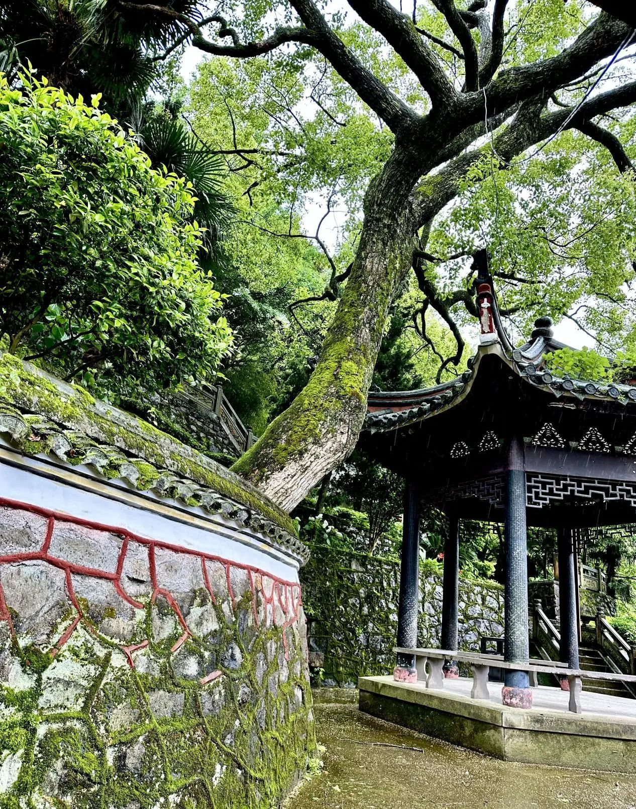 “慈云密布”在天童 | 吴越黄檗踪迹
