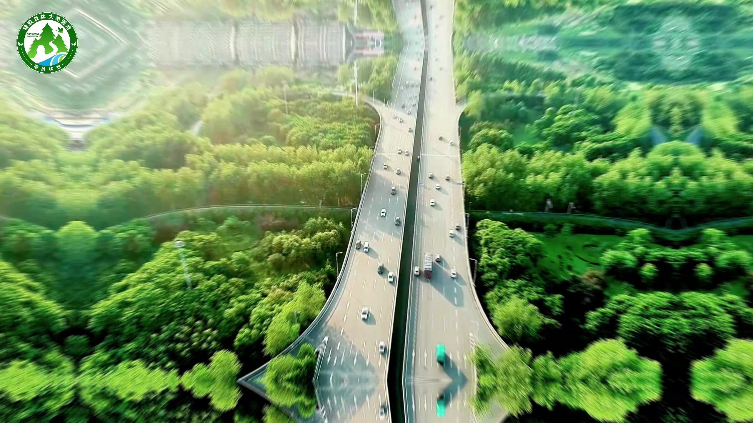 南昌市首批22条林荫大道揭晓