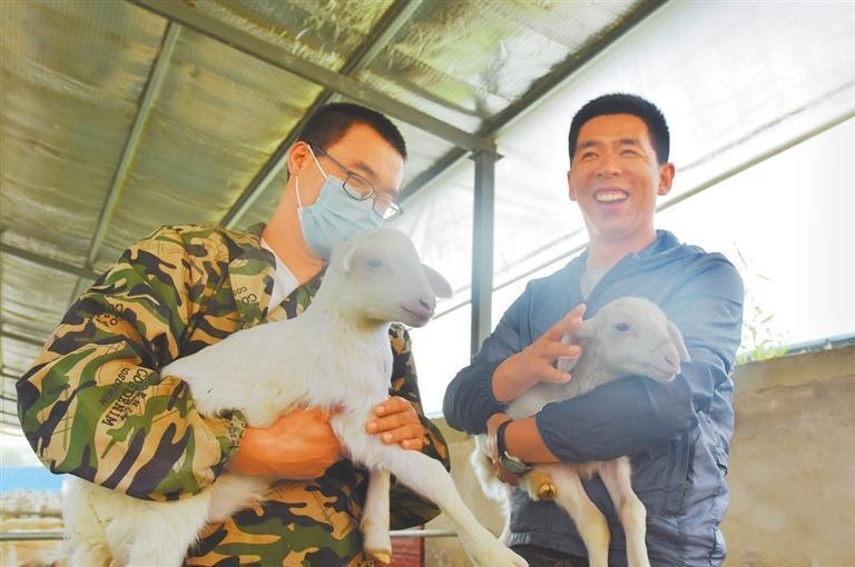 张忠山（右）和同事查看羊羔的生长情况