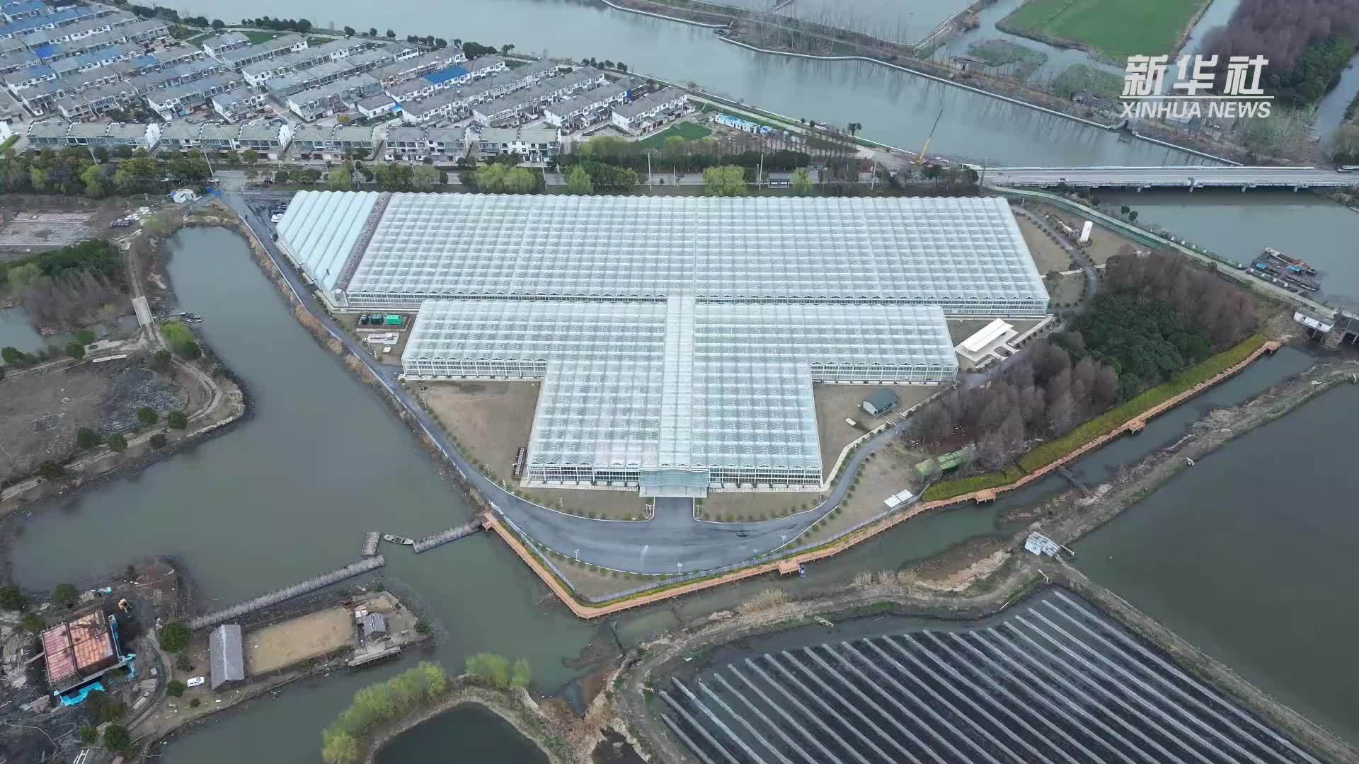 江苏泰州：科技赋能农业 种植更“智慧”