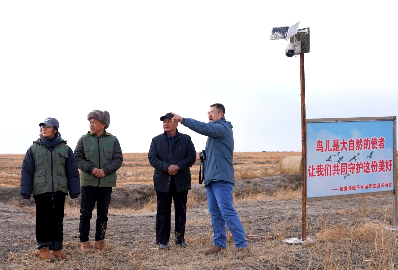 " 中国白鹤之乡 " 镇赉迎来 首批候鸟 生态画卷激活北国湿地