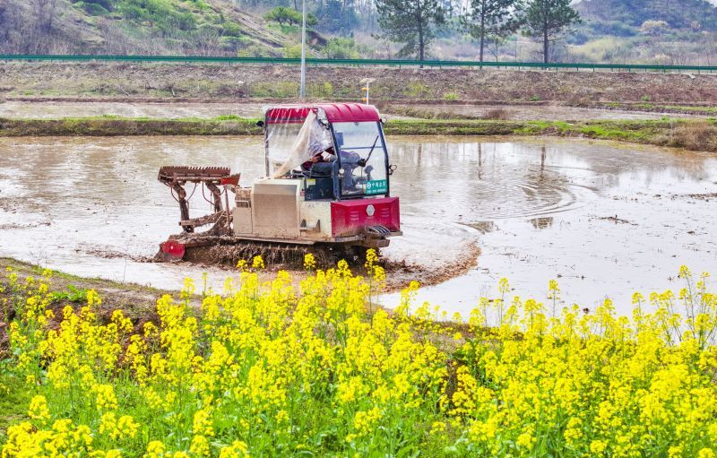 南丰县：不误农时 不负春光（图）