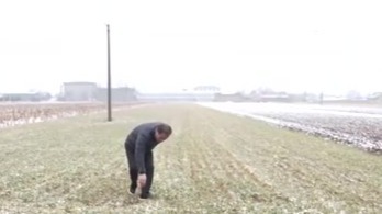 甘肃：多地出现降雪　改善土壤墒情