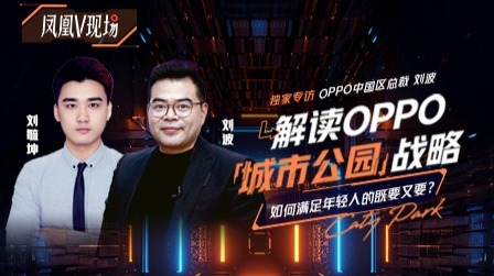 对话OPPO中国区总裁刘波：开店要让年轻人“泡着不走”