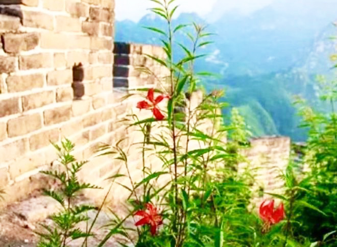 阮莲芬诗词欣赏：奇迹留青史　千古阅沧桑