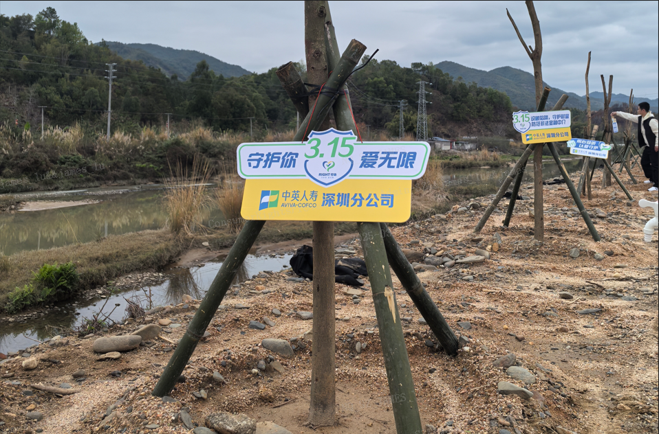 中英人寿深圳分公司联合多家同业开展"柏埔紫荆"公益行动