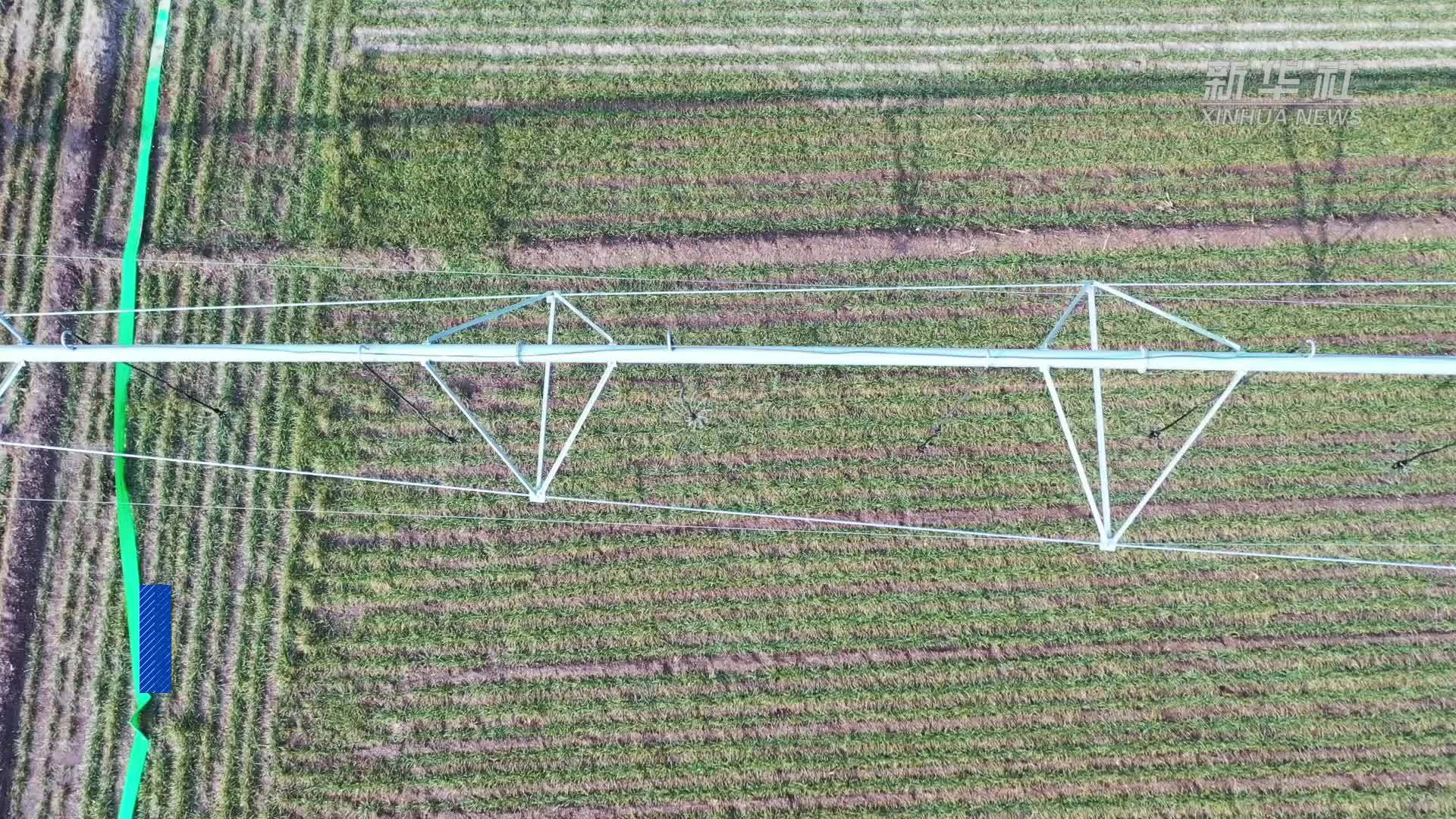 山东聊城：精准引调黄河水 全力保障春灌